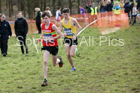 Boys under-15s 2019 British Athletics Inter Counties Cross Country, Prestwood Hall, Loughborough. Photo:  David T. Hewitson/Sports for All Pics